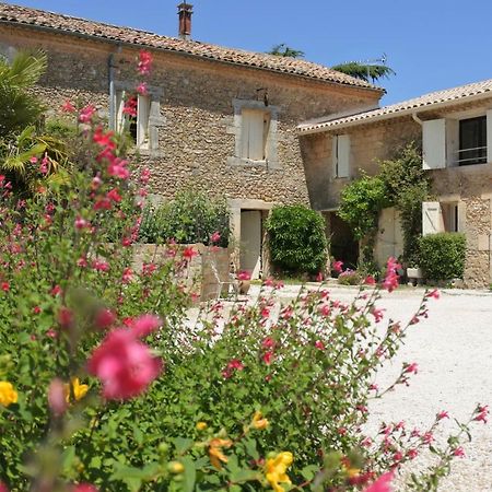 Gite Du Domaine Saint Jean De L'Arbousier Кастри Екстериор снимка