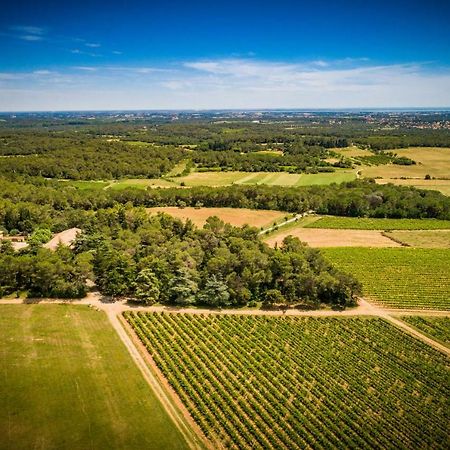 Gite Du Domaine Saint Jean De L'Arbousier Кастри Екстериор снимка