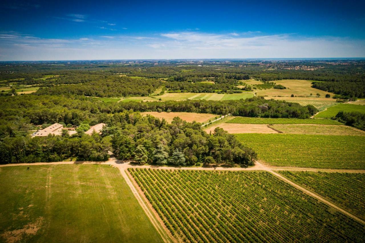 Gite Du Domaine Saint Jean De L'Arbousier Кастри Екстериор снимка