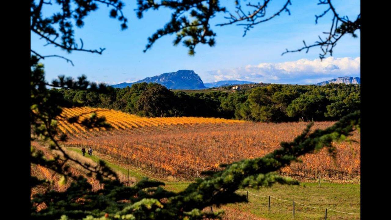 Gite Du Domaine Saint Jean De L'Arbousier Кастри Екстериор снимка